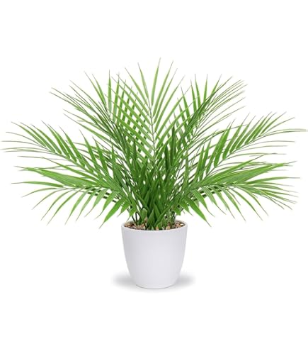 Amazon｜IKEA/イケア FEJKA/フェイカ：人工観葉植物68 cm アレカヤシ